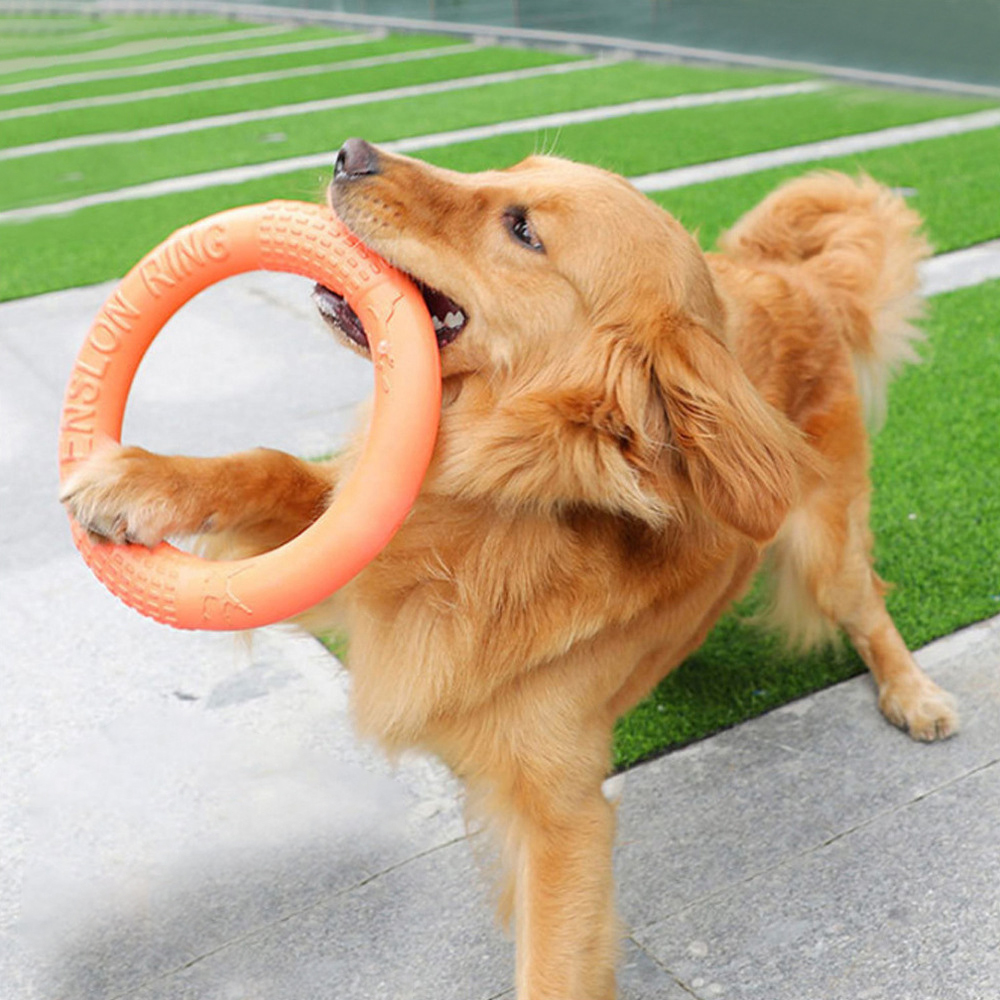Flying Disc Dog Training Toy - 1pc orange Hundes pielzeug Haustier fliegende