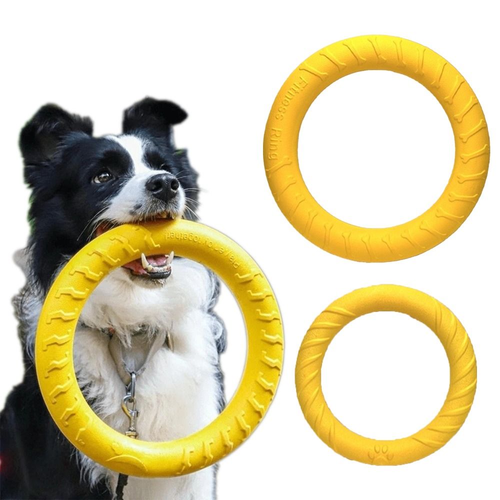 Welpen-Outdoor-Spielzeug-Set E – Flying Disc Dog Training Toy Bewertung und Preis