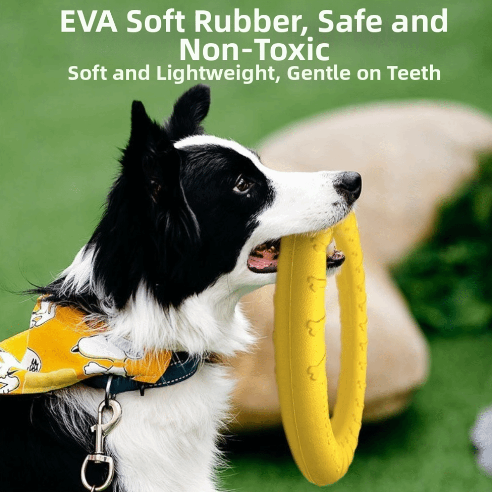 Welpen-Outdoor-Spielzeug-Set E – Flying Disc Dog Training Toy Bewertung und Preis