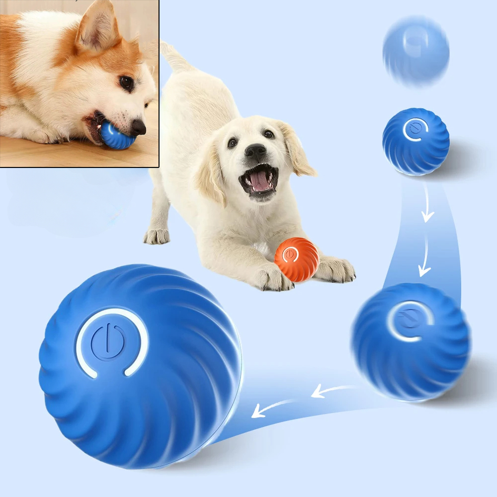 Hundespielzeugball Automatisch – Automatic Moving Dog Ball Bewertung und Preis