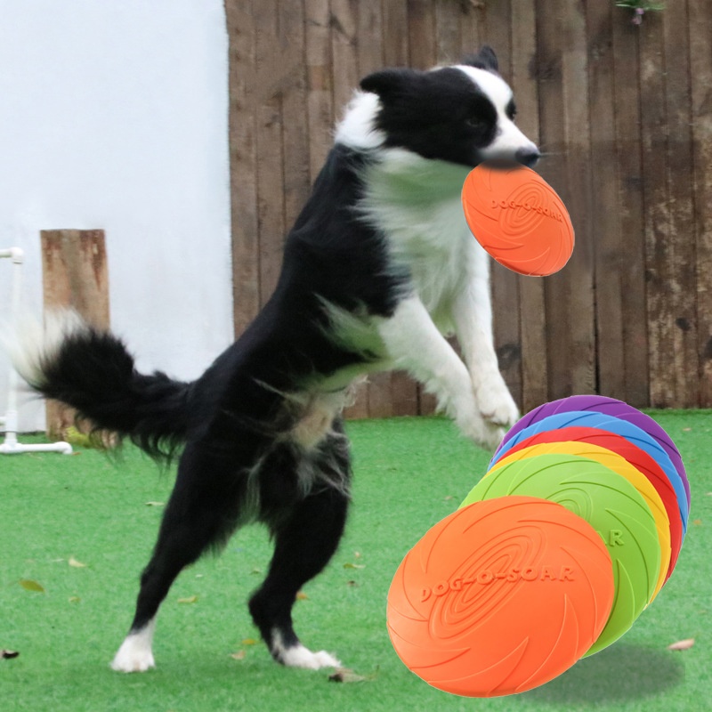Interaktives Silikon-Flugunter – Flying Disc Dog Training Toy Bewertung und Preis