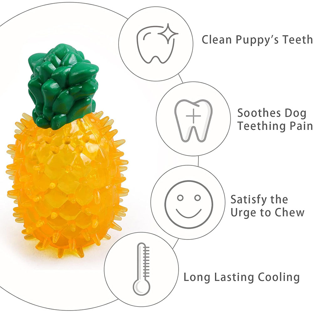 Haustier-Kühlspielzeug zum Ein – Indestructible Dog Chew Toy Bewertung und Preis